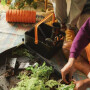 Ножницы для травы SP15 Solid FISKARS