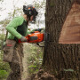 Бензопила Husqvarna 592XP
