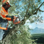 Бензопила Husqvarna T435
