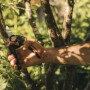 Секатор плоскостной FISKARS Xseries PowerGear L P961