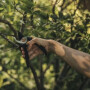 Секатор плоскостной Solid P321 FISKARS