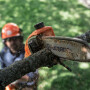 Аккумуляторный высоторез Husqvarna 115iPT4