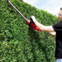 Кусторез электрический Einhell GH-EH 4245