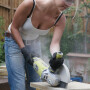 Угловая шлифмашина Ryobi EAG2000G (5133002193)