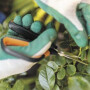 Ножницы для травы SP15 Solid FISKARS