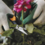 Ножницы для травы SP15 Solid FISKARS