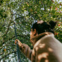 Черенок алюминиевый телескопический FISKARS OneClick L 220-400см