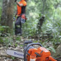 Бензопила Husqvarna 365 15"