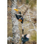 Сучкорез универсальный телескопический UPX86 FISKARS PowerGear