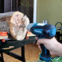 Шуруповерт ударный MAKITA TD0101 в кор.