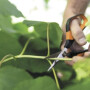 Ножницы для травы SP15 Solid FISKARS