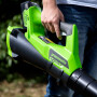 Воздуходувка аккумуляторная Greenworks G40ABK4 (АКБ 4Ач + ЗУ)