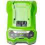 Зарядное устройство Greenworks G24C4 24В 4A