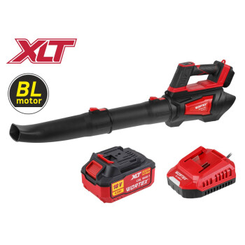 Аккум. воздуходувка WORTEX BB 1218-1 D XLT SET (АКБ 4Ач + ЗУ)