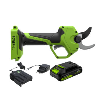 Секатор аккумуляторный Greenworks PR24320 24V (АКБ 2Ач + ЗУ)