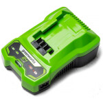Зарядное устройство Greenworks G24C4 24В 4A