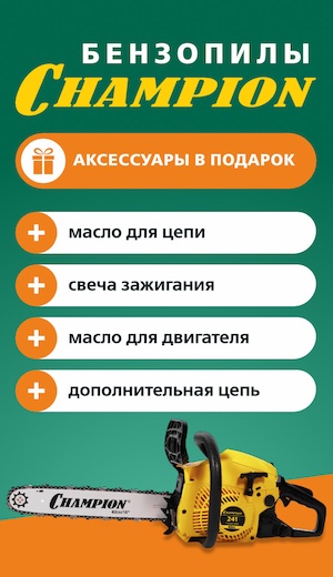 -10 Champion  (десктоп)