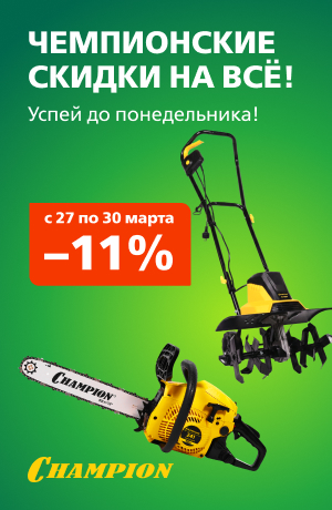 Выходного дня Champion 03/2026 (мобика)