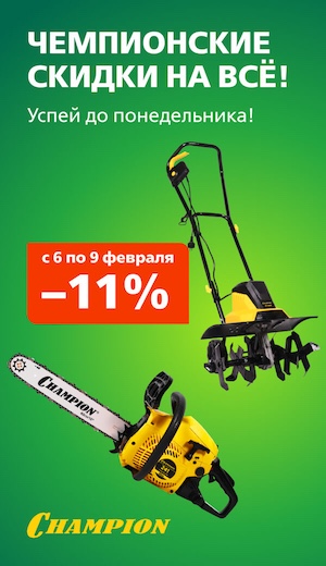-10 Champion  (десктоп)