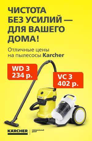 Распродажа -15 Karcher 09/2025 (мобика)