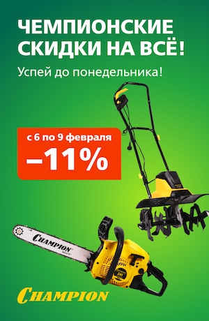 -10 Champion (мобилка)