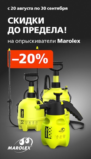 Акция Marolex 08/2026 (десктоп)