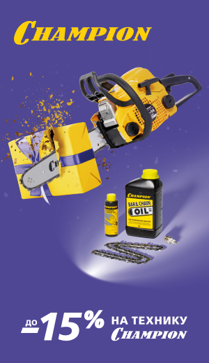 -10 Champion  (десктоп)