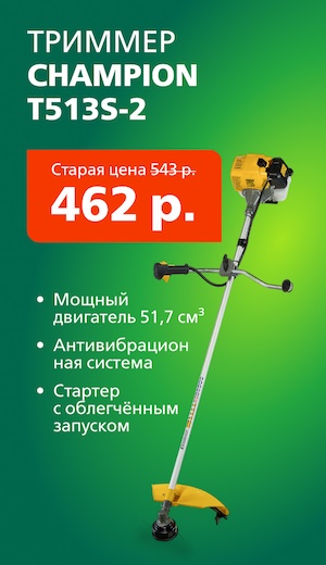 Триммер Champion 07/2026 (десктоп)