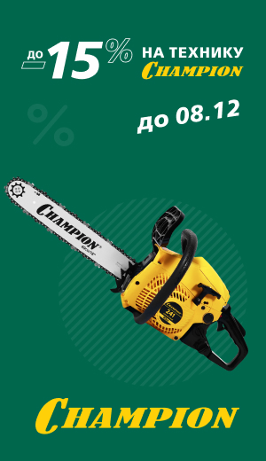 -10 Champion  (десктоп)