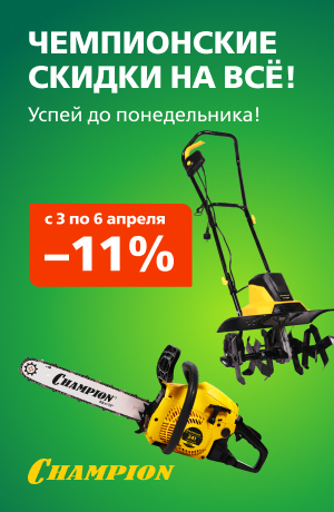Выходного дня Champion 03/2026 (мобика)