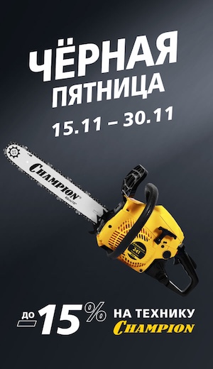 -10 Champion  (десктоп)