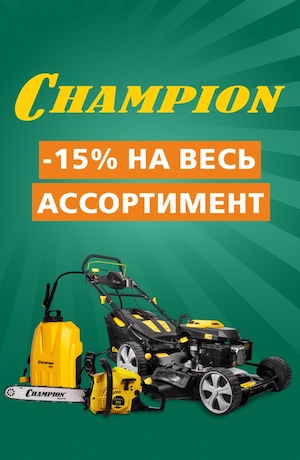 -10 Champion (мобилка)