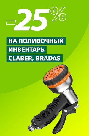 -25 Clabber/Bradas (мобилка)