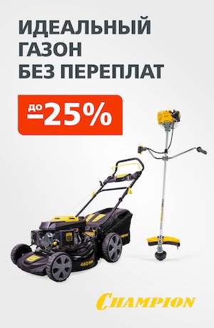 Champion -25  04/2026 (мобика)