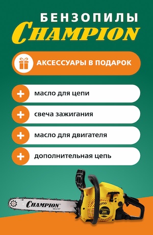 -10 Champion (мобилка)