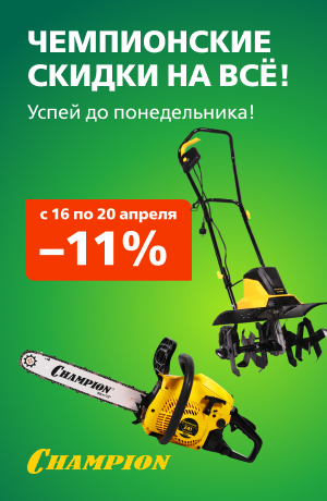 Выходного дня Champion 03/2026 (мобика)