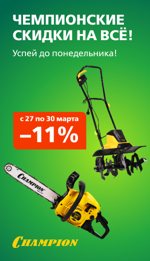 Выходного дня Champion 03/2026 (десктоп)