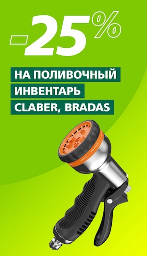 -25 Clabber/Bradas  (десктоп)