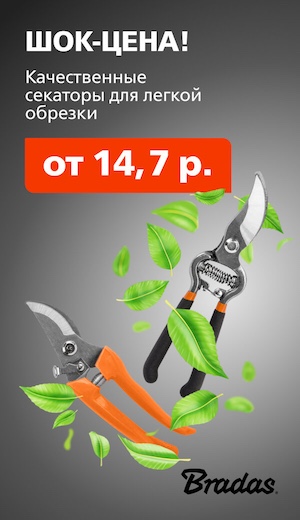 Скидки Bradas 03/2026 (десктоп)