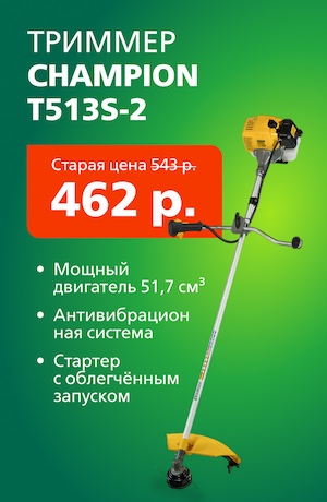 Триммер Champion 07/2026 (мобика)
