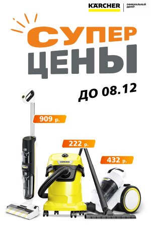 Распродажа -15 Karcher 09/2025 (мобика)