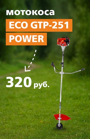Мотокоса ECO GTP-251 05/2025 (мобика)