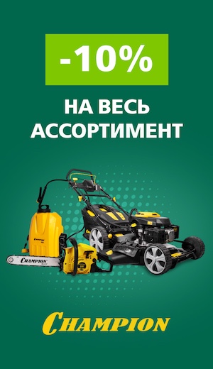 -10 Champion  (десктоп)