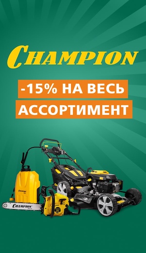 -10 Champion  (десктоп)