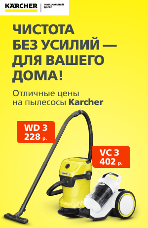 Распродажа -15 Karcher 09/2025 (мобика)