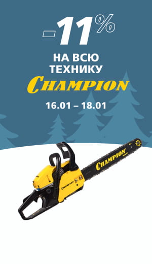 -10 Champion  (десктоп)