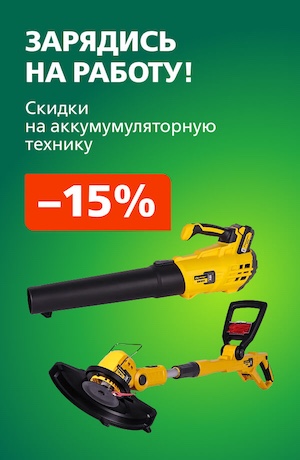 -10 Champion (мобилка)