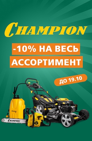 -10 Champion (мобилка)