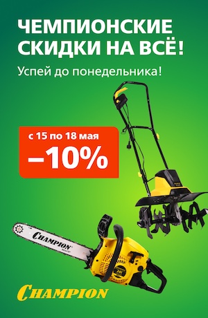 Выходного дня Champion 03/2026 (мобика)