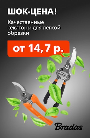 Скидки Bradas 03/2026 (мобика)